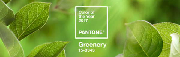 رنگ سال در طراحی سایت