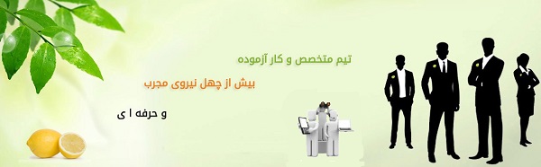 گروه طراحی وب سایت