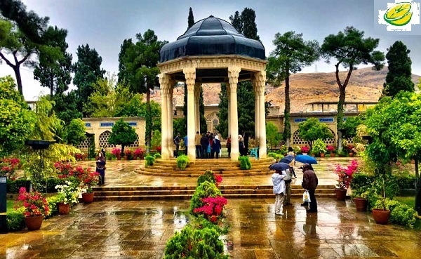 آموزش طراحی سایت شیراز