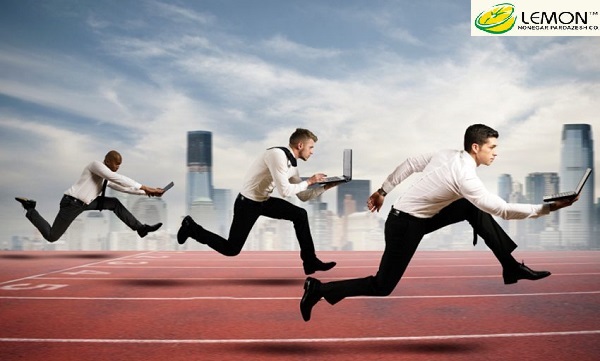 وب سایت نویسی