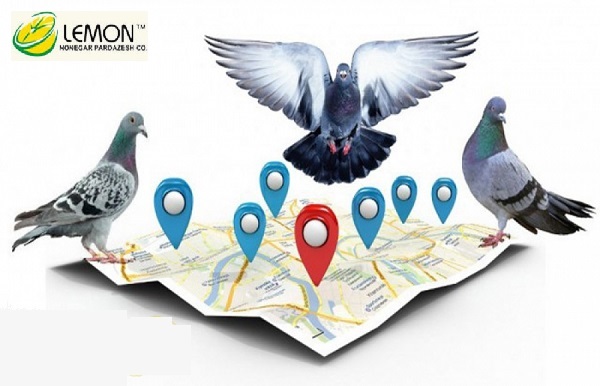 سئو محلی به چه معناست