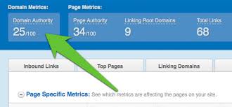 Page rank طراحی سایت در سئو سایت چه نقشی دارد
