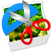 ده نکته کاربردی برای بهینه سازی تصاویر در طراحی سایت