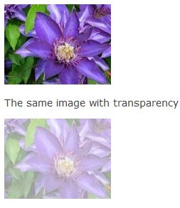 در طراحی سایت با ایجاد تصاویر وایفکت های زیبا بر روی عکس موجب جلب کاربر و اثرگذاری در سئو سایت شوید.